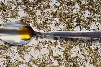 Echinacea rozsypaná okolo tinktúty z nej, ktorá je na lyžičke