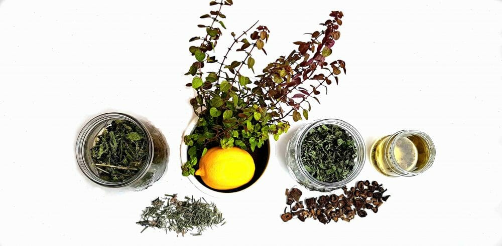 Prírodná vlasová kozmetika z byliniek. Žihľava, medovka, čaj, levanduľa, sušený lopúchový koreň, tymián živý, citrón.